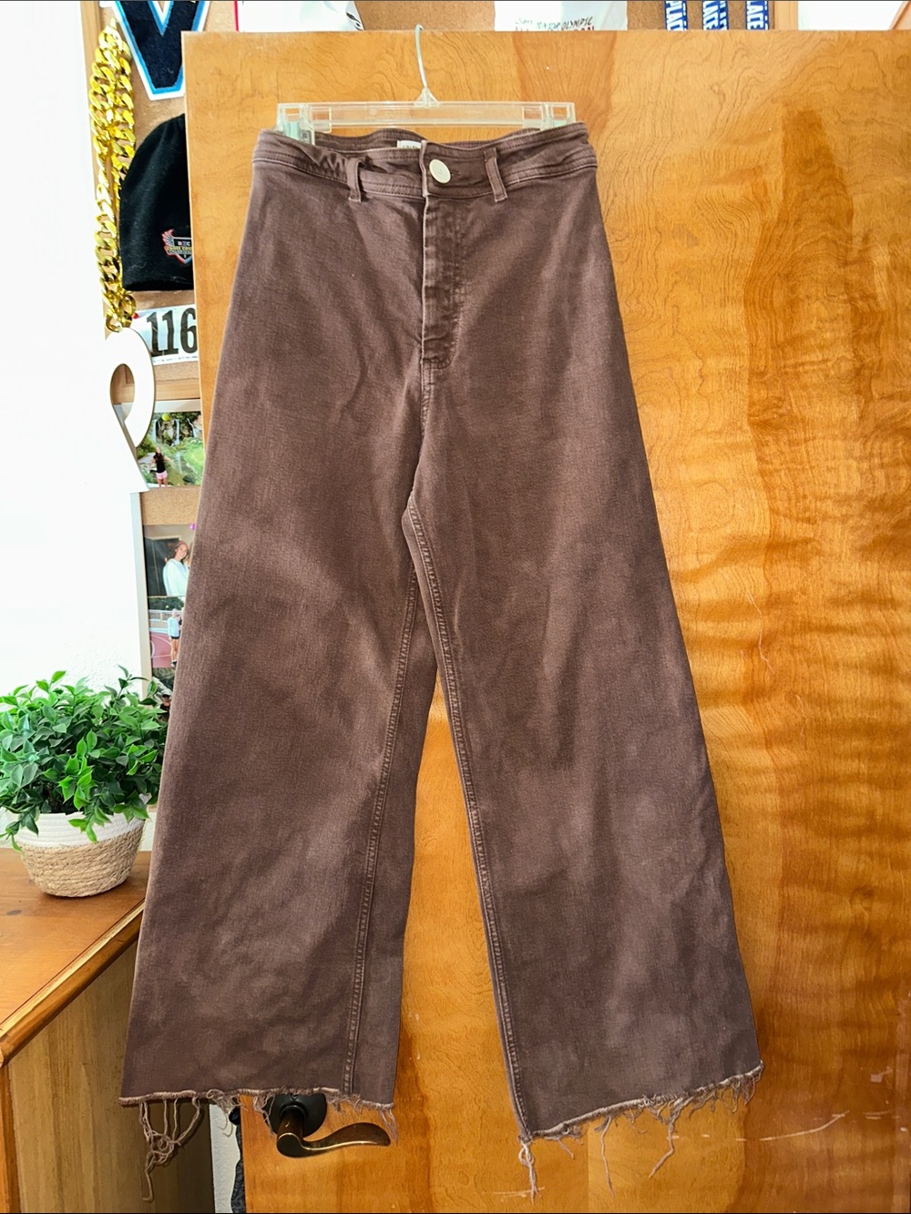 Zara Wide-Leg Pants in Brown